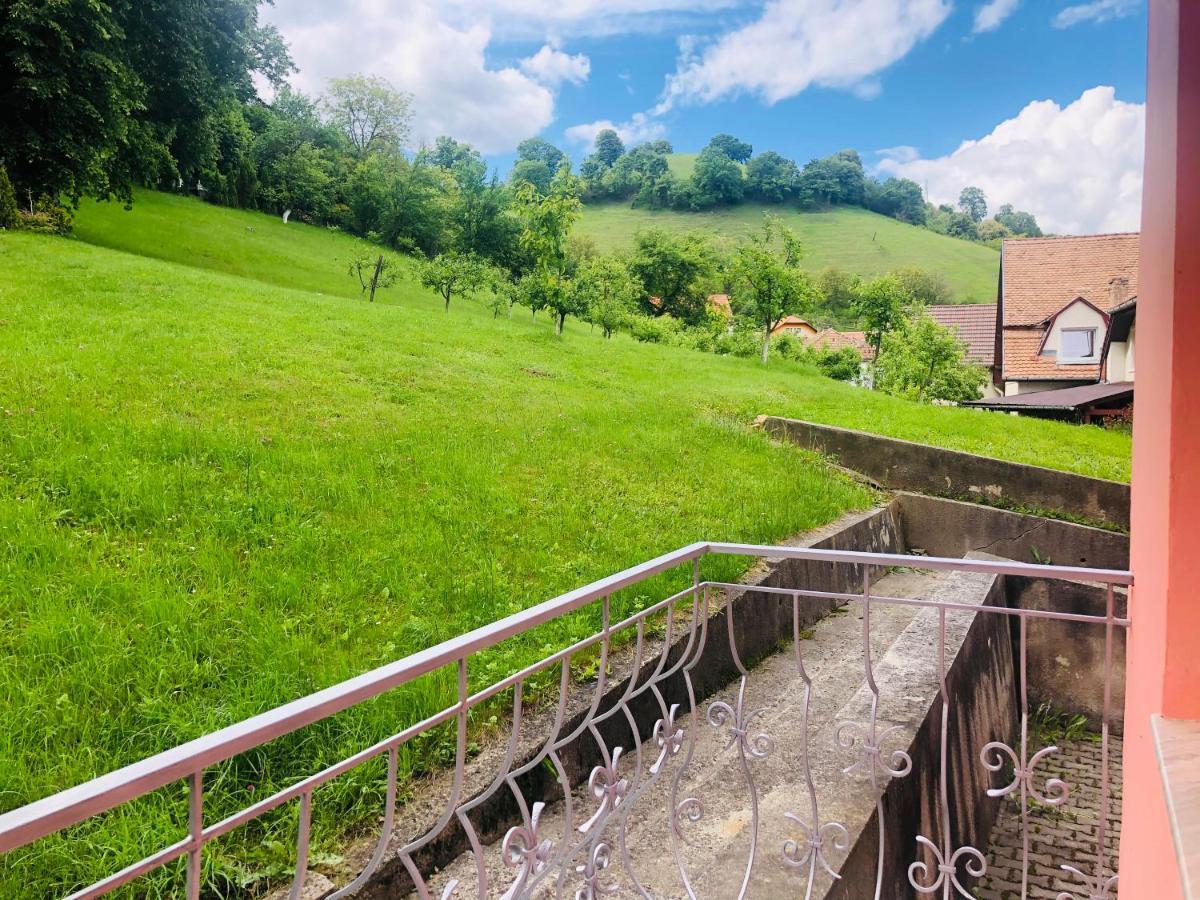 Hotel Poenita Sighişoara Exteriér fotografie