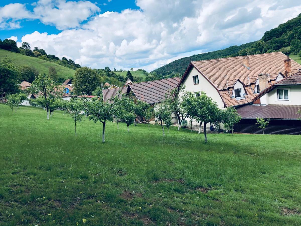 Hotel Poenita Sighişoara Exteriér fotografie